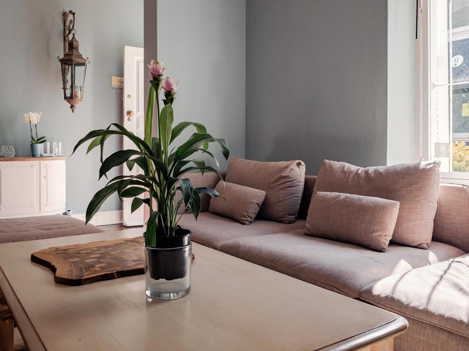 Purple House Accommodations 开普敦 客房 照片