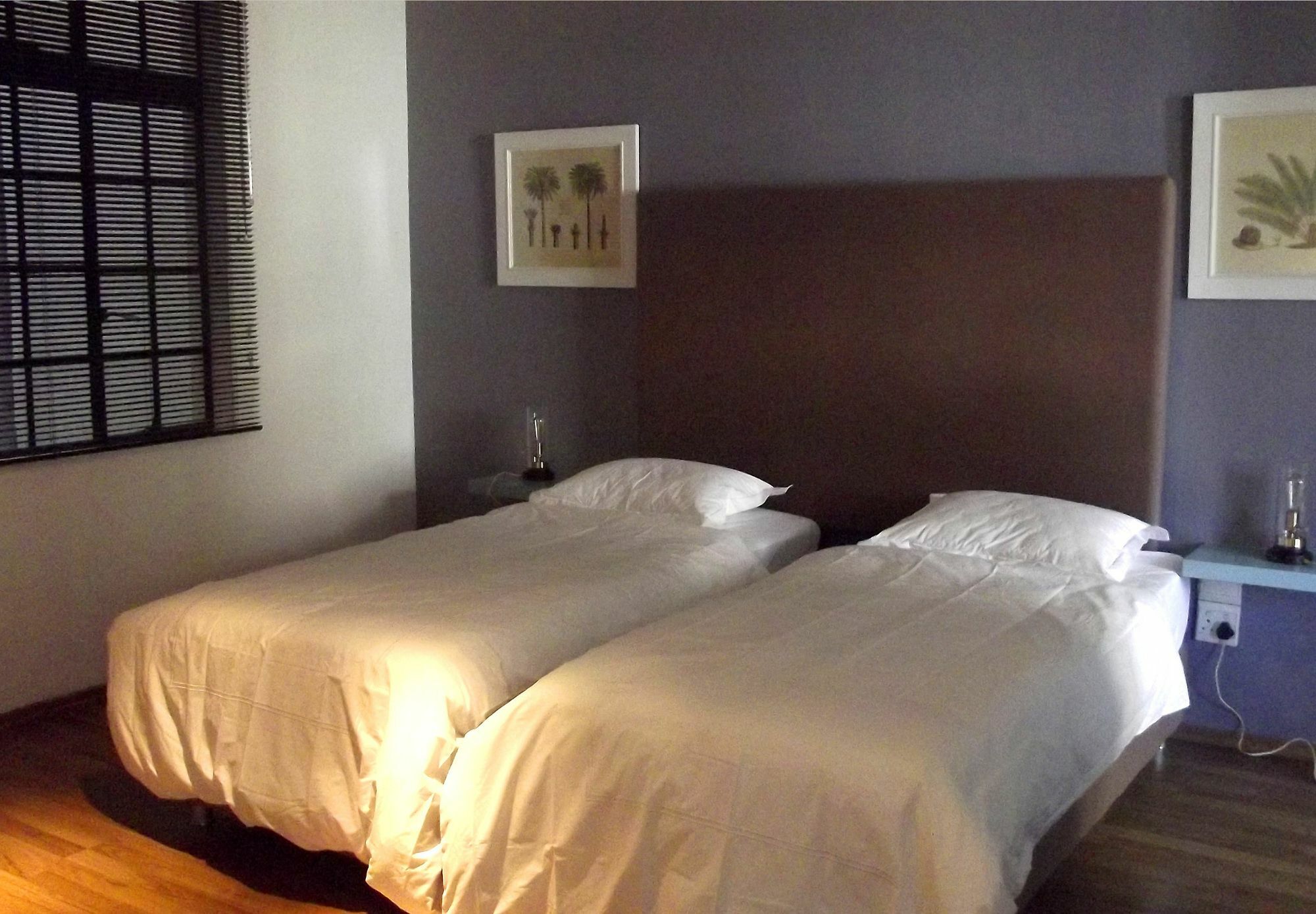 Purple House Accommodations 开普敦 外观 照片
